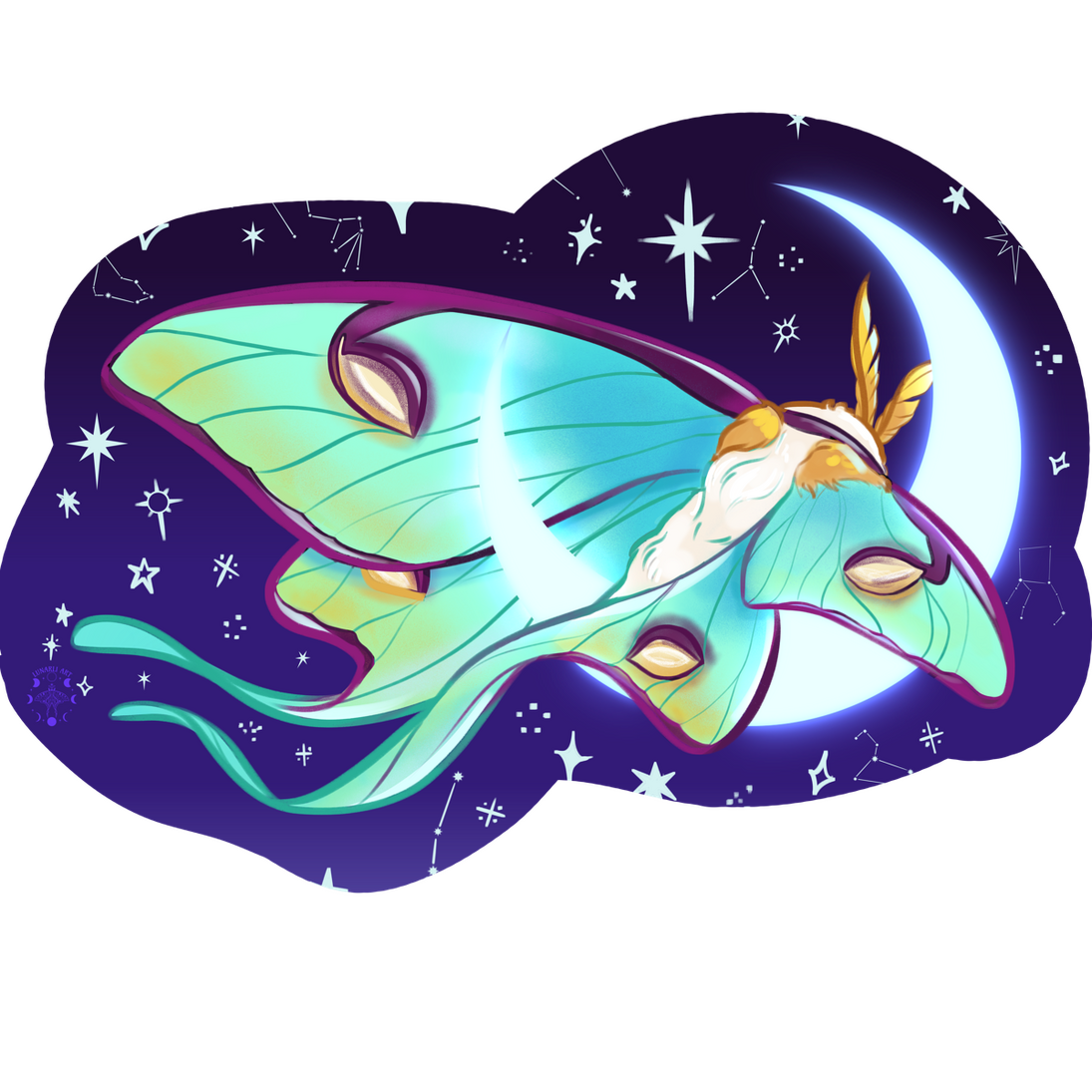 ✶ GOODNIGHT MOTH MIDNIGHT ✶
